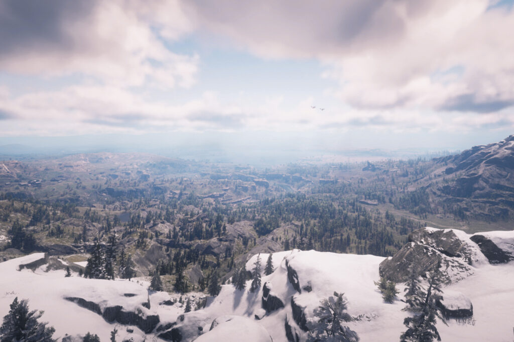 Videogames Unplugged