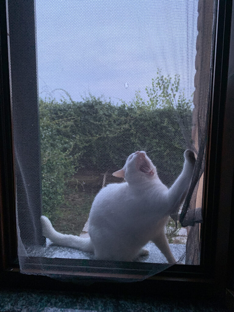 99 fotografie sbagliate